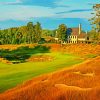 Whistling Straits Golf Course paint by number