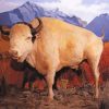 White Buffalo Art paint by number