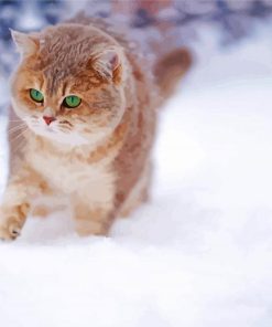 Winter Cat paint by number