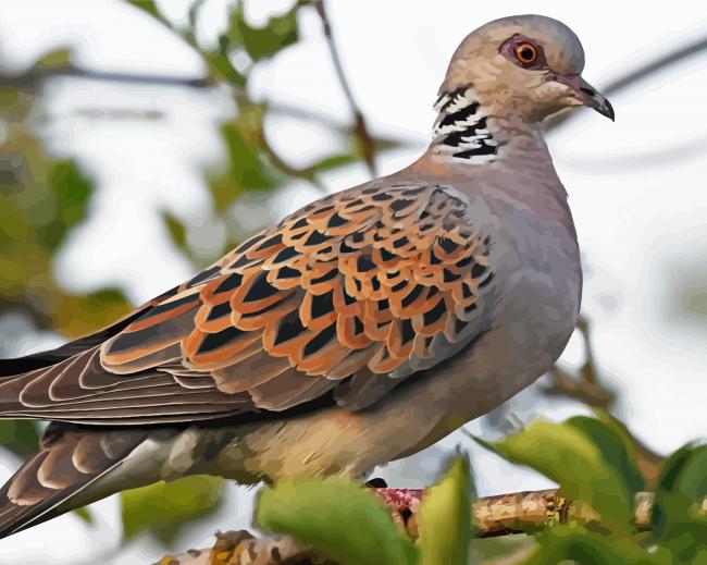 Aesthetic Turtle Dove Paint By Numbers