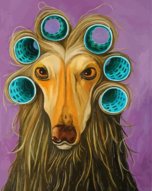 Afghan Hound paint by number