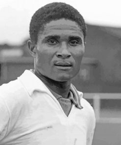 Black And White Eusebio paint by number