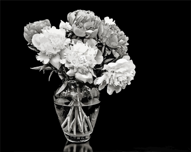 Black And White Flower Vase paint by number