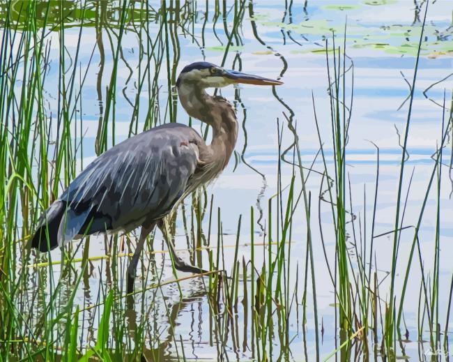 Blue Heron In A Swamp paint by number