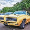 Cool 1968 GTO Car Paint By Numbers