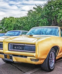 Cool 1968 GTO Car Paint By Numbers