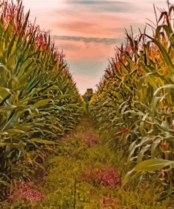 Corn Farm Field Sunset paint by number