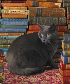 Fat Cat Bookcase paint by number