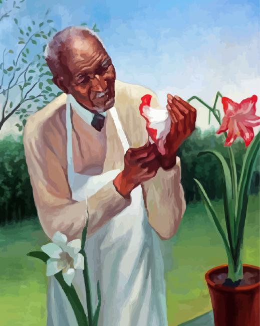 George Washington Carver Plant Doctor Paint By Numbers
