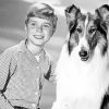 Jon Provost And Lassie paint by number