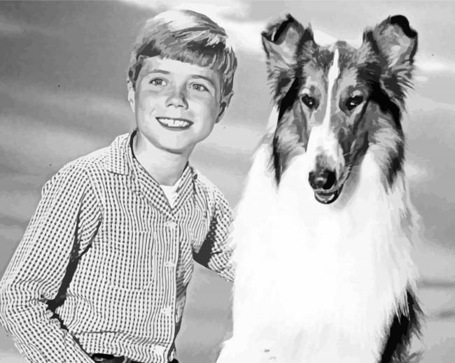 Jon Provost And Lassie paint by number