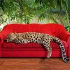 Leopard Sleeping On Sofa paint by number