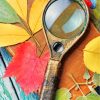 Magnifying Glass And Leaves paint by number