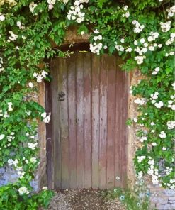 Old Flowering Door Paint By Numbers