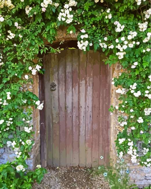 Old Flowering Door Paint By Numbers