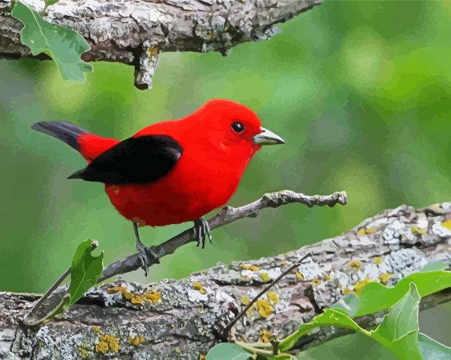 Red songbird Paint By Numbers