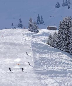 Snowboarding In Megeve Paint By Numbers