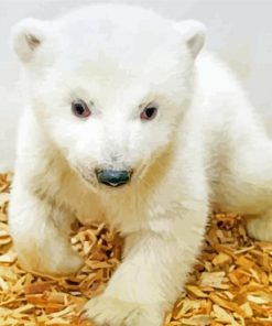 White Baby Bear paint by number