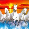 White Horse Herd In Water paint by number