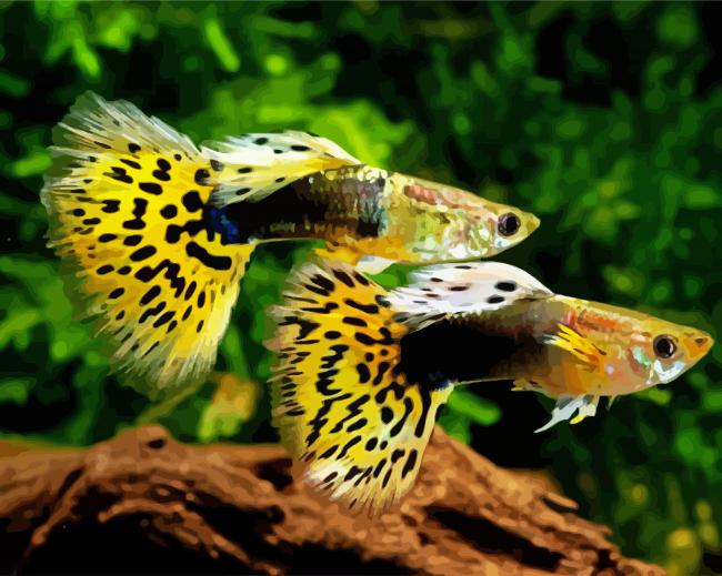 Yellow Guppy Fish Paint By Numbers