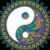 Yin Yang Mandala Paint By Numbers