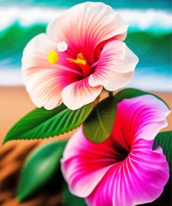 Hawaiian Flowers Paint By Numbers