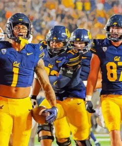 California Golden Bears Football Paint By Numbers