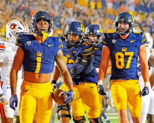 California Golden Bears Football Paint By Numbers 